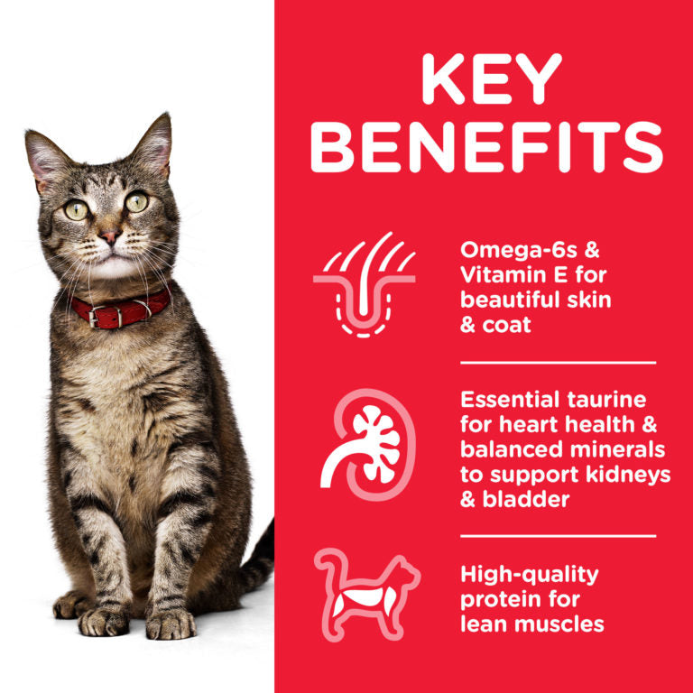 Hills Science Plan Adult Cat Food with Tuna