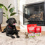 Stella & Chewy's Dental Delights Large