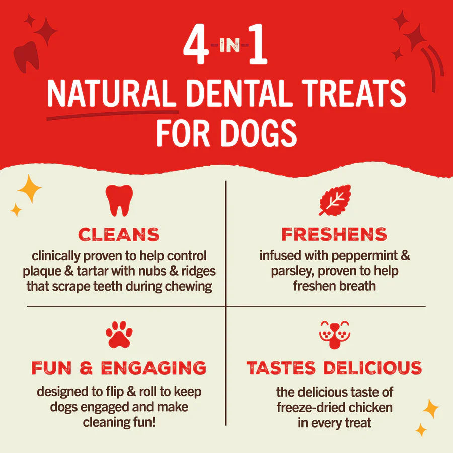Stella & Chewy's Dental Delights Large