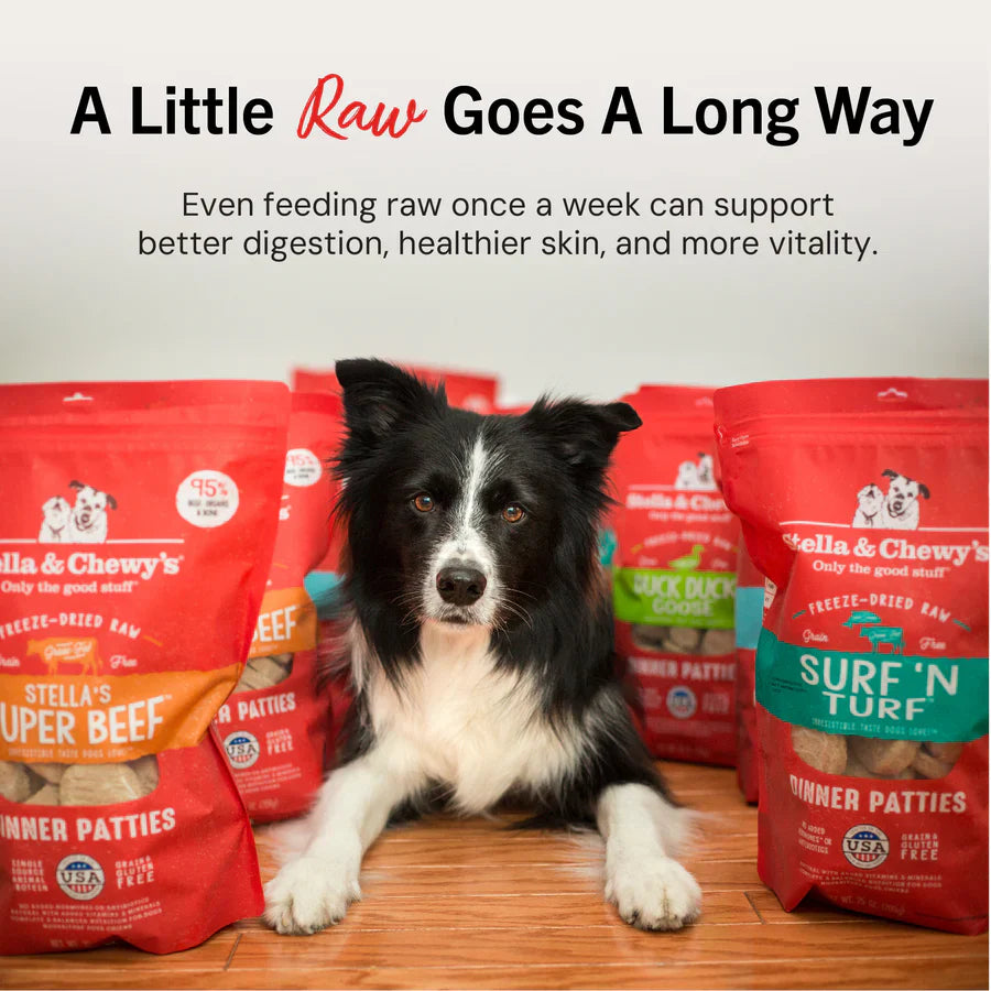 Stella & Chewys Dog FD Duck Duck Goose Patties