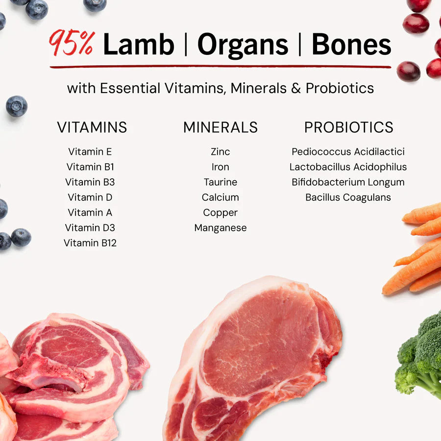 Stella & Chewys Dog FD Dandy Lamb Patties