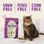 Stella & Chewys Baked Kibble for Cats - Raw Blend Cage-Free Recipe