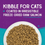 Stella & Chewys Cat-Raw Coated Kibble Salmon