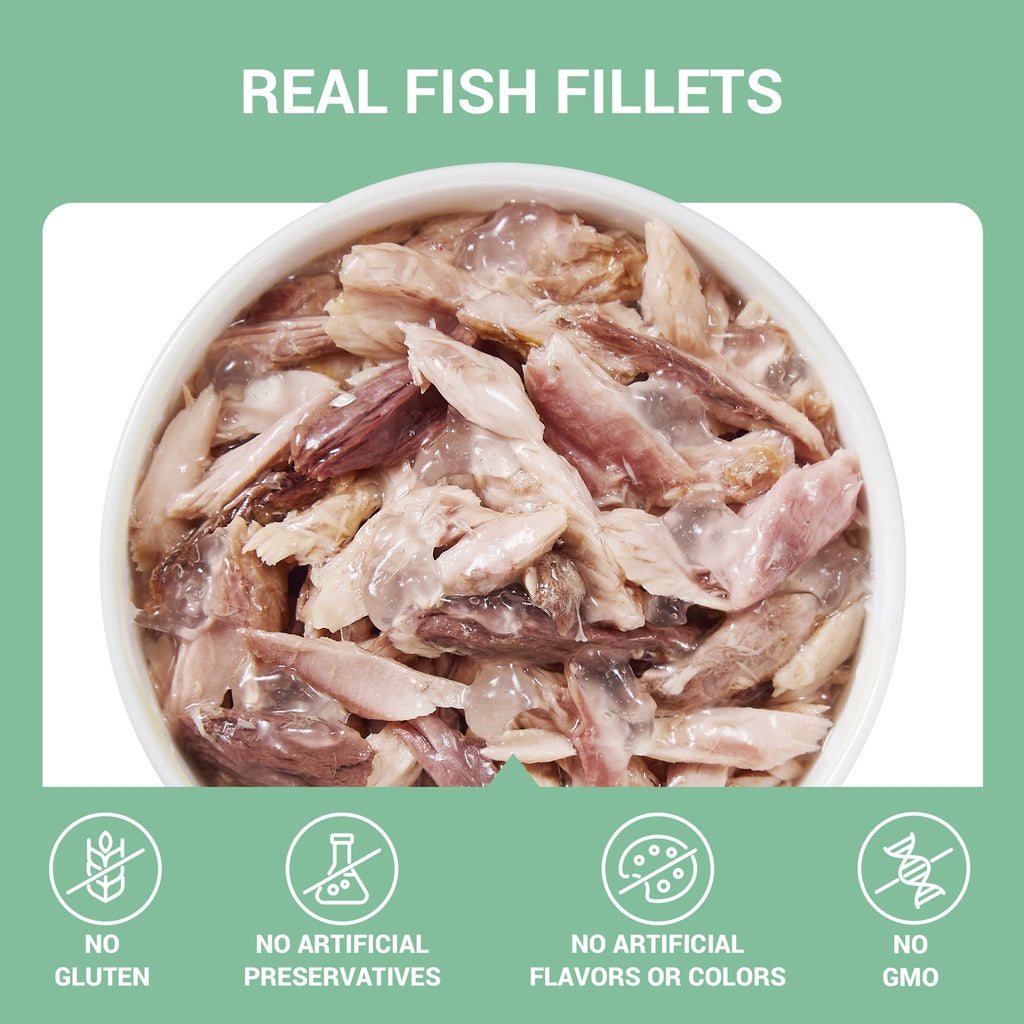 Schesir Complements Cat Wet Food  in Jelly Can- Tuna 70g