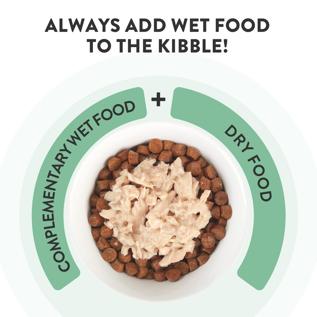 Schesir Complements Cat Wet Food  in Jelly Can- Tuna 70g