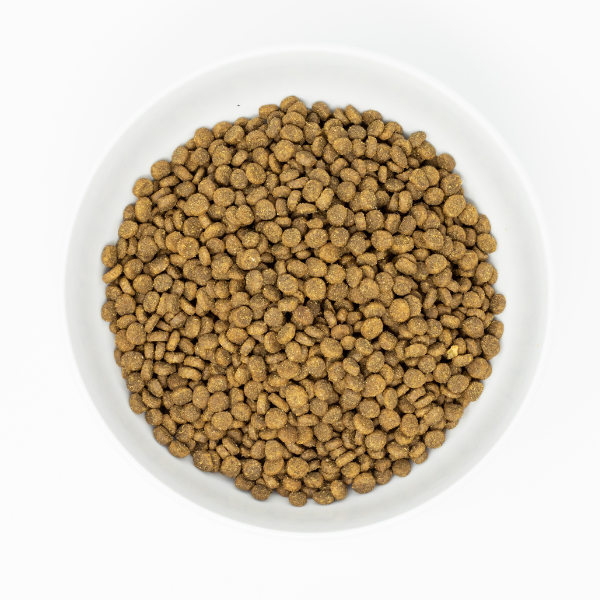 Stella & Chewys Cat-Raw Coated Kibble Chicken