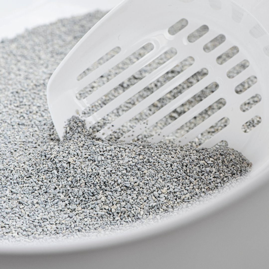 OdourLock Baby Powder - Ultra premium Clumping Cat Litter Blocks ammonia, 99.9% Dust free