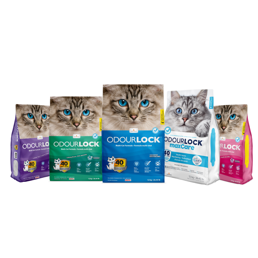 OdourLock Baby Powder - Ultra premium Clumping Cat Litter Blocks ammonia, 99.9% Dust free