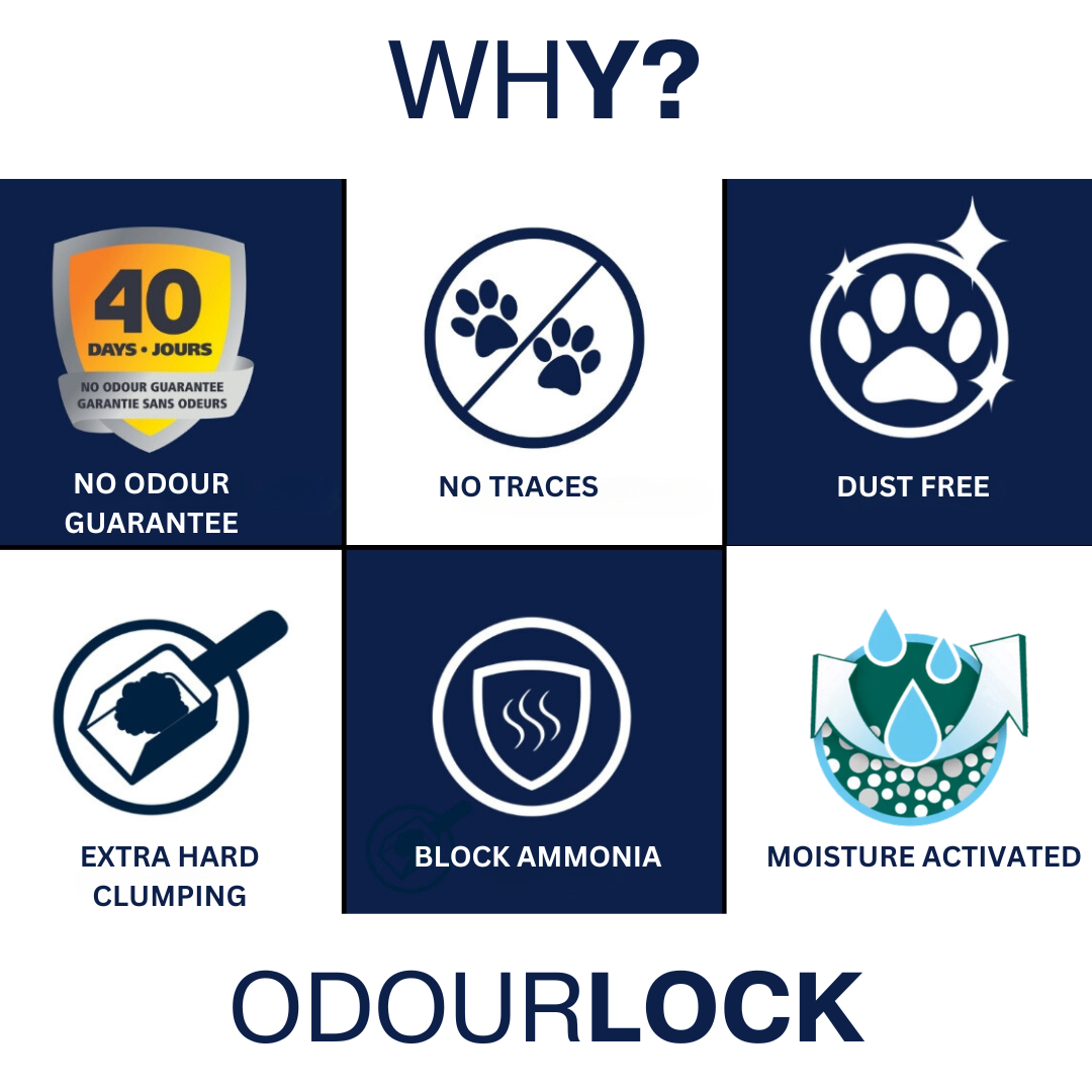 OdourLock Baby Powder - Ultra premium Clumping Cat Litter Blocks ammonia, 99.9% Dust free