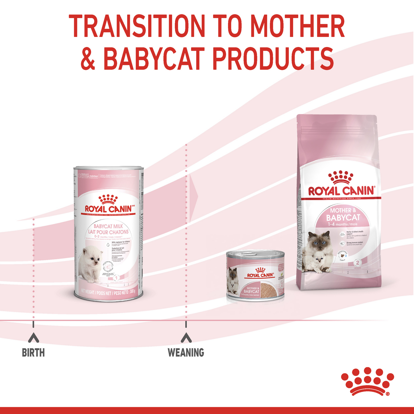 Royal Canin Feline Health Nutrition Babycat Milk 300 g