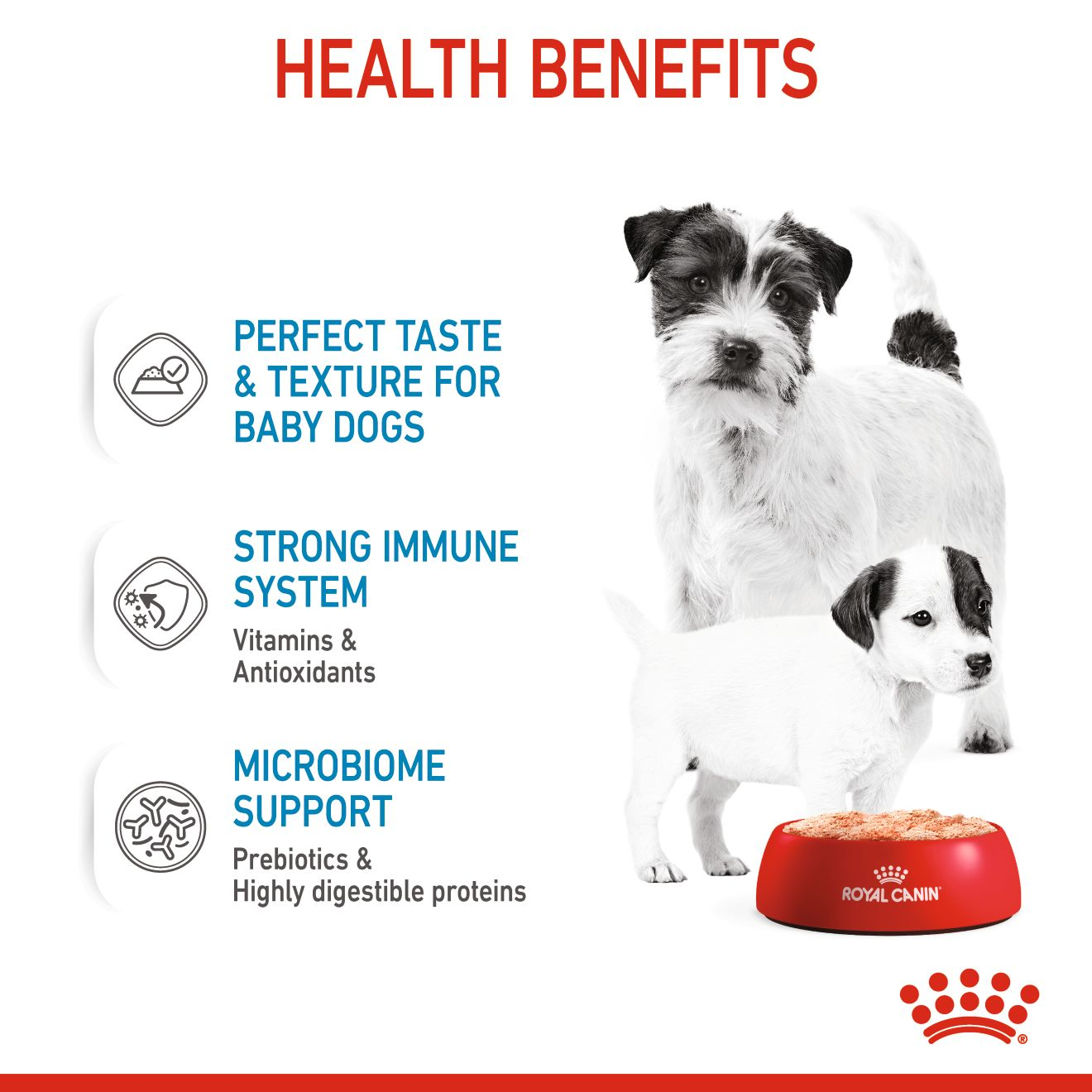 Royal Canin Canine Health Nutrition Starter Mousse Mother & Baby dog (WET FOOD - Cans)