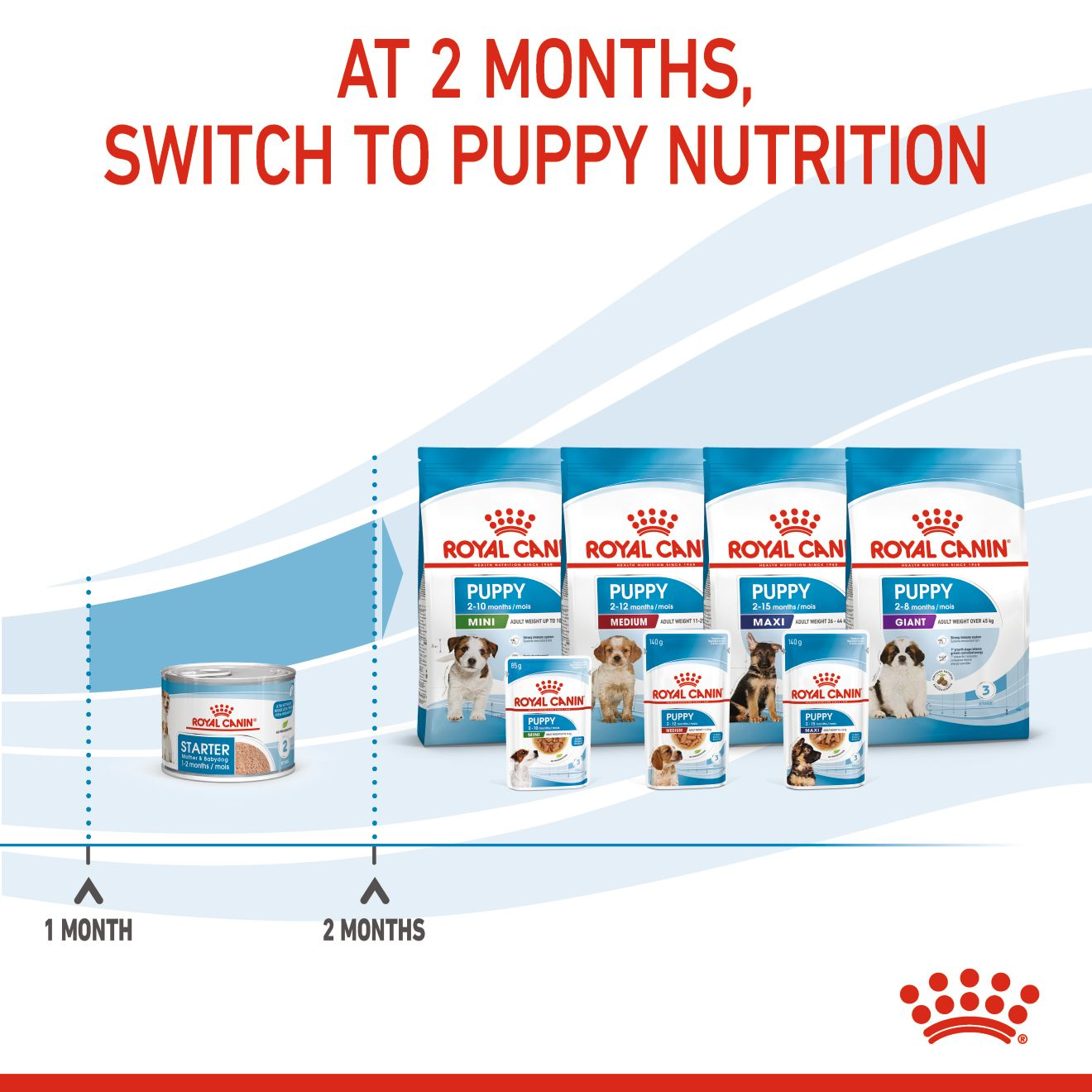 Royal Canin Canine Health Nutrition Starter Mousse Mother & Baby dog (WET FOOD - Cans)