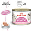 Royal Canin Feline Health Nutrition Mother & Babycat Mousse (WET FOOD - Cans)