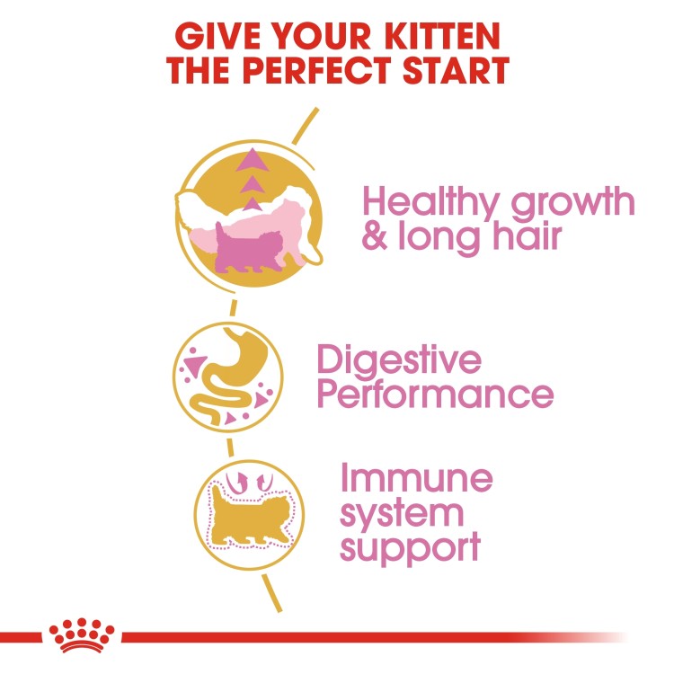 Royal Canin Feline Breed Nutrition Persian Kitten