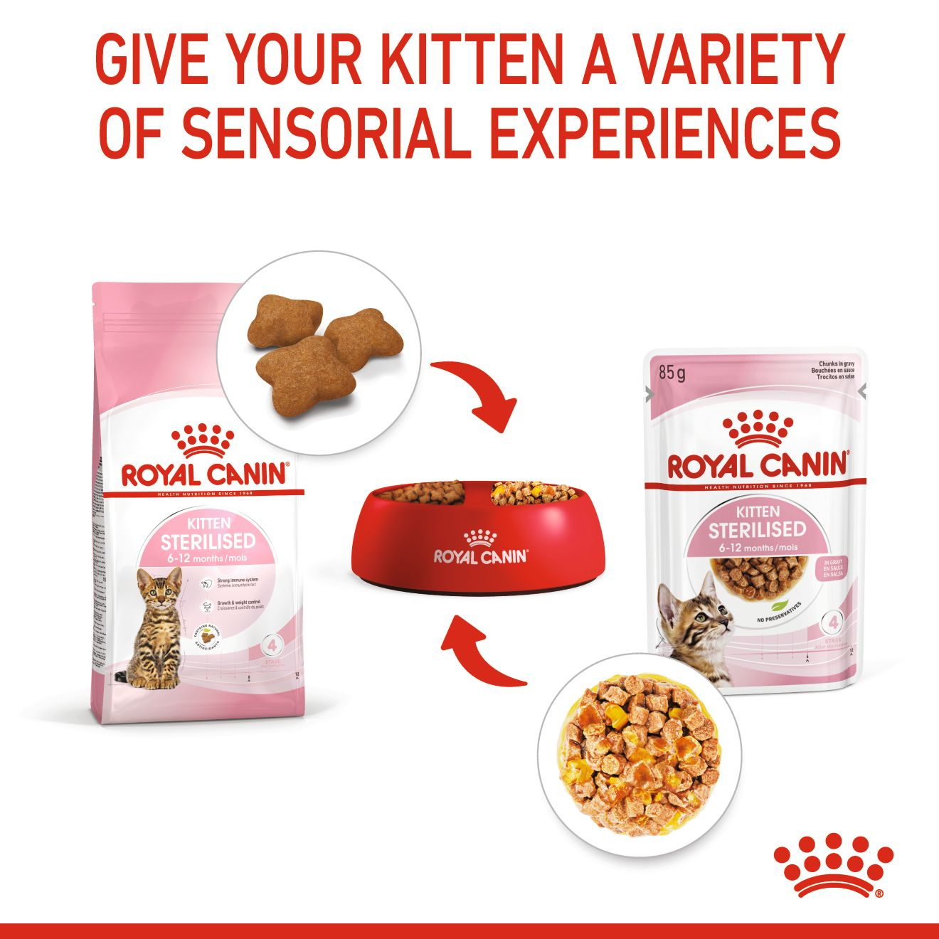 Royal Canin  Feline Health Nutrition Kitten Sterilised Gravy (WET FOOD - Pouches)