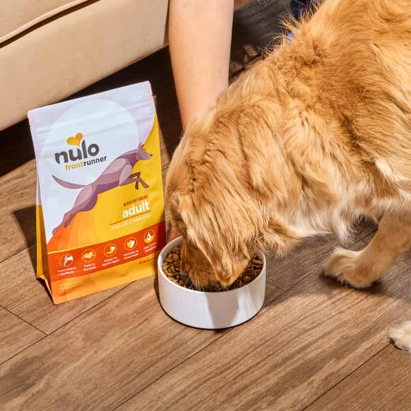 Nulo Frontrunner Adult Dog Chicken, Oats & Turkey