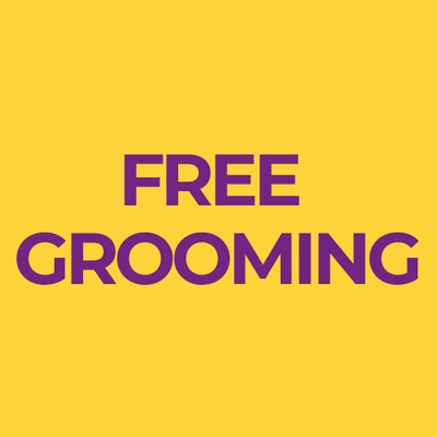 🎁 FREE GROOMING FOR DOGS & CATS (100% off)