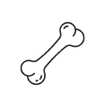 Ingredient Quality & Transparency