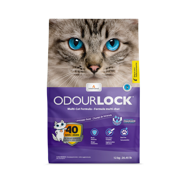 intersand odourlock lavender