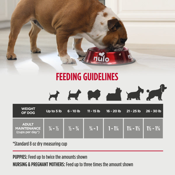 Nulo Frontrunner Small Breed Turkey, Whitefish & Quinoa 2.3 KG Bag