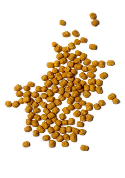 Psittacus Professional Parrot Maintenance 3kg