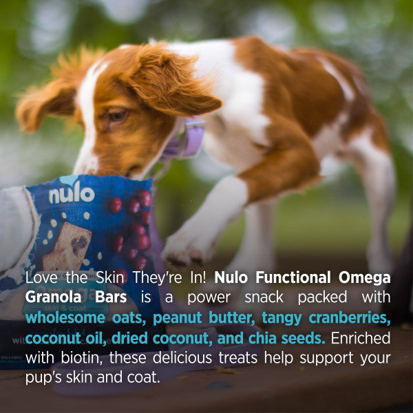 Nulo Functional Granola Digestion Dog Treats 283g