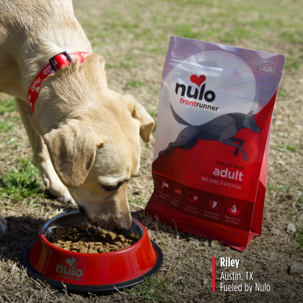 Nulo Frontrunner Adult Dog with Beef, Barley & Lamb