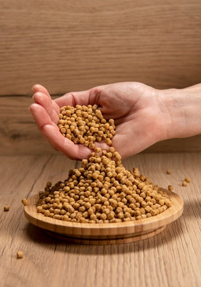 Psittacus Catalonia Mini Pellets Parakeets 450g