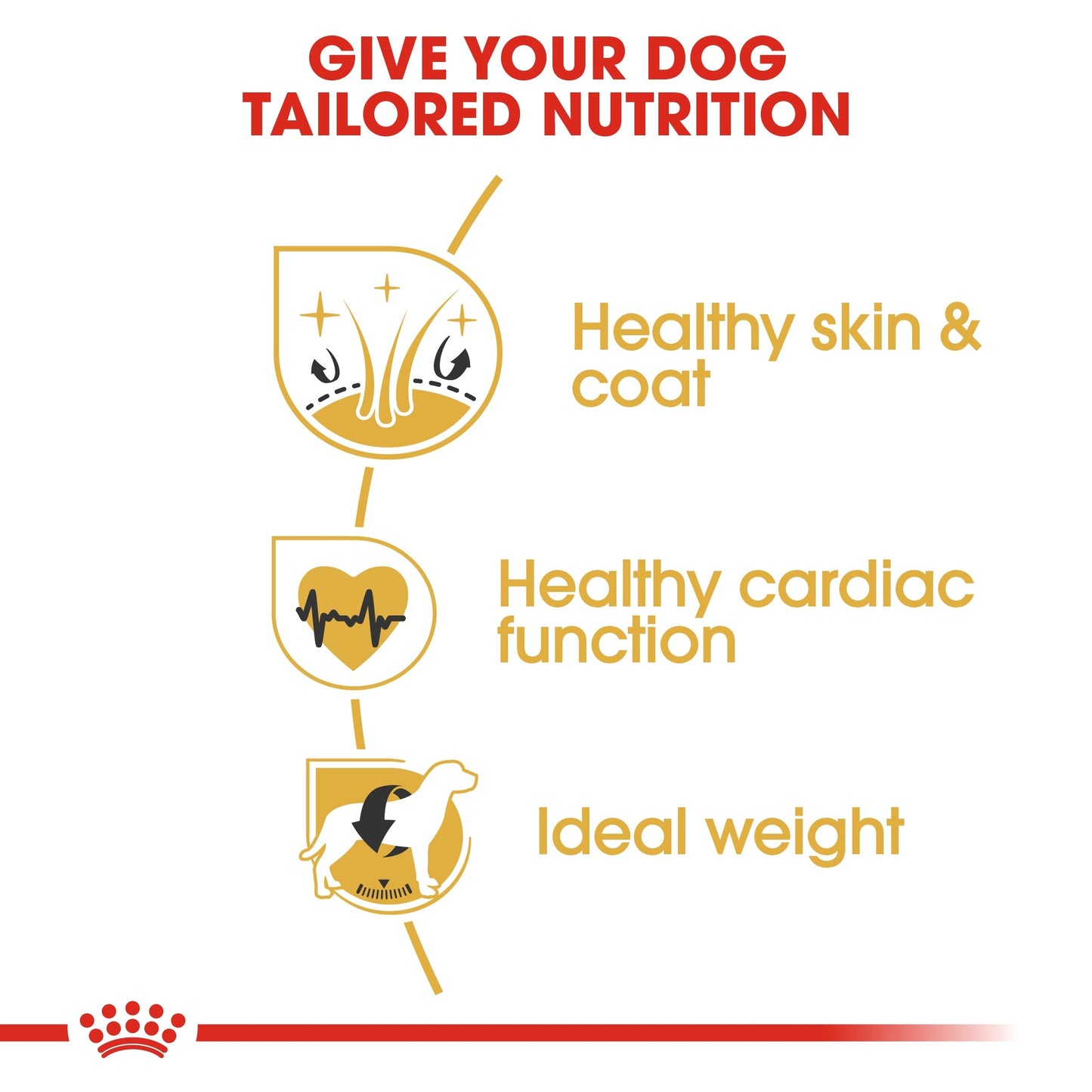 Royal Canin Breed Health Nutrition Golden Retriever Adult 12 KG