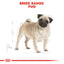 Royal Canin Breed Health Nutrition Pug Adult