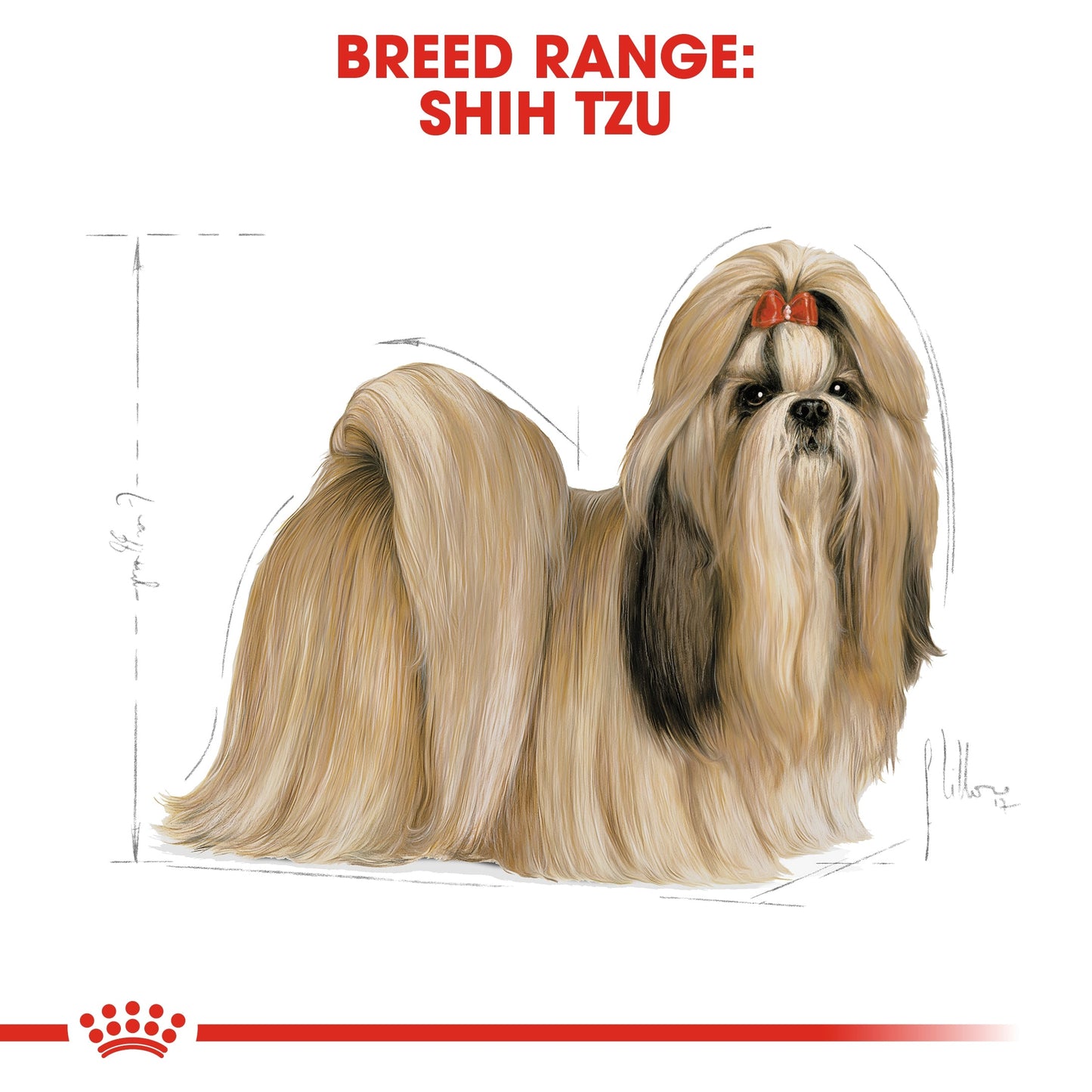 Royal Canin Breed Health Nutrition Shih Tzu Adult