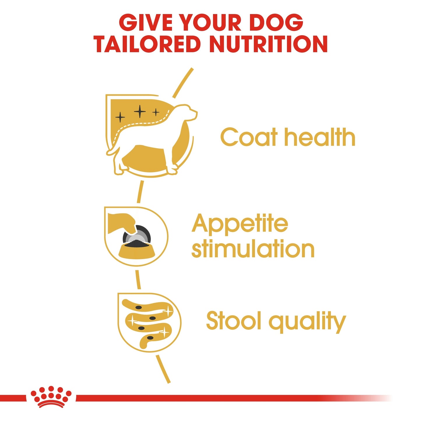 Royal Canin Breed Health Nutrition Yorkshire Adult (WET FOOD - Pouches)