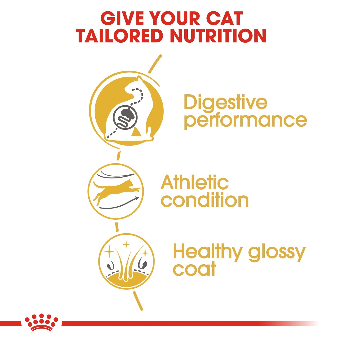Royal Canin Feline Breed Nutrition Bengal Adult 2 KG