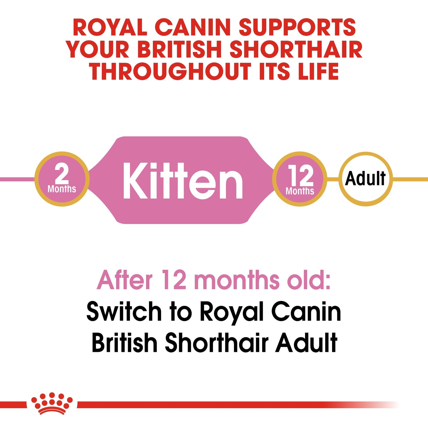 Royal Canin  Feline Breed Nutrition British Shorthair Kitten 2 KG