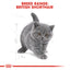 Royal Canin  Feline Breed Nutrition British Shorthair Kitten 2 KG