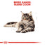 Royal Canin  Feline Breed Nutrition Maine Coon Adult 2 KG
