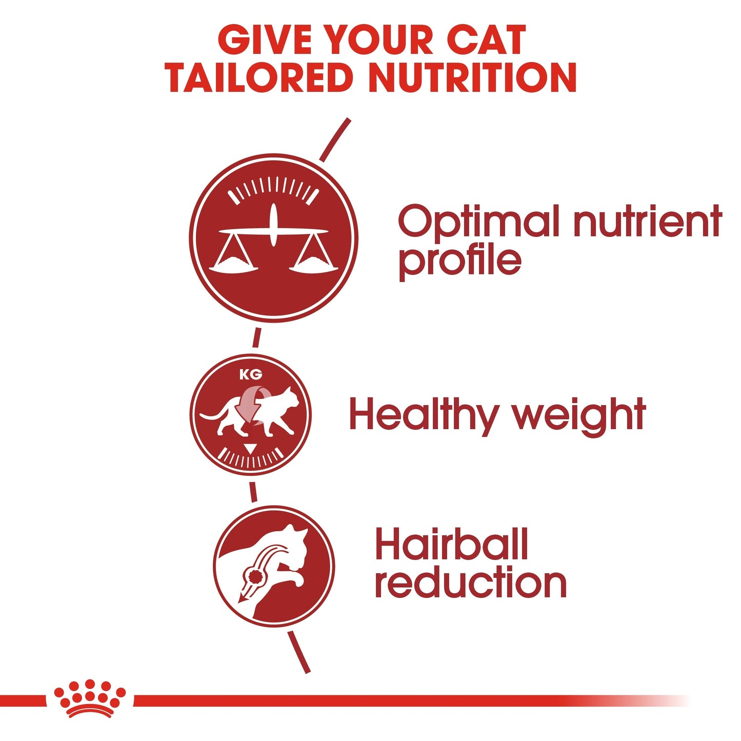 Royal Canin Feline Health Nutrition Fit 32