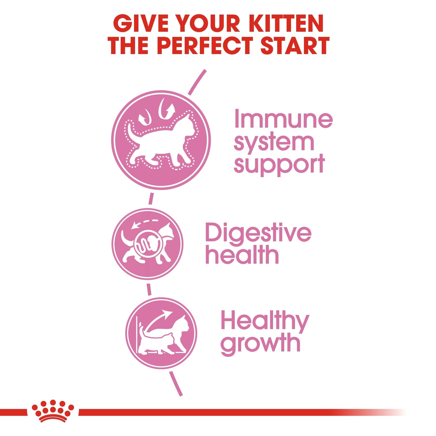 Royal Canin Feline Health Nutrition Kitten