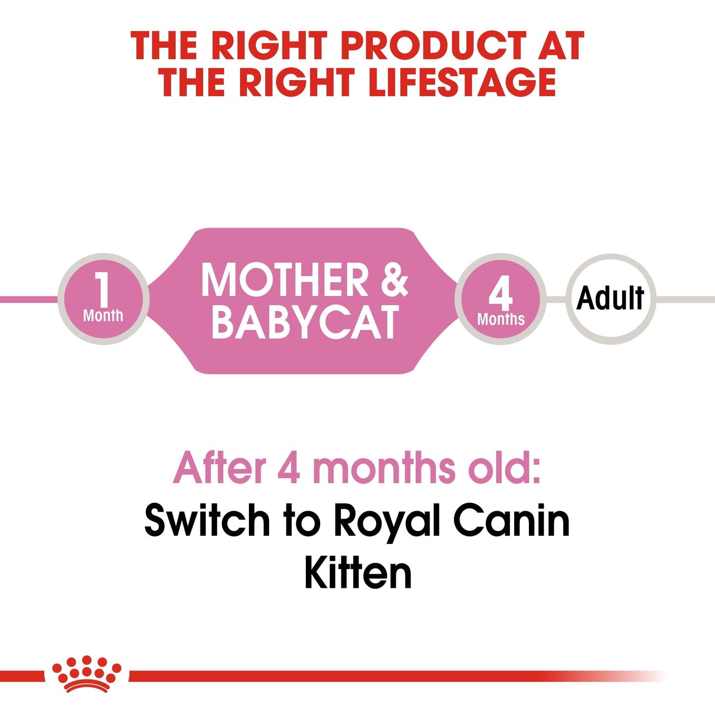 Royal Canin Feline Health Nutrition Mother & Babycat Mousse (WET FOOD - Cans)