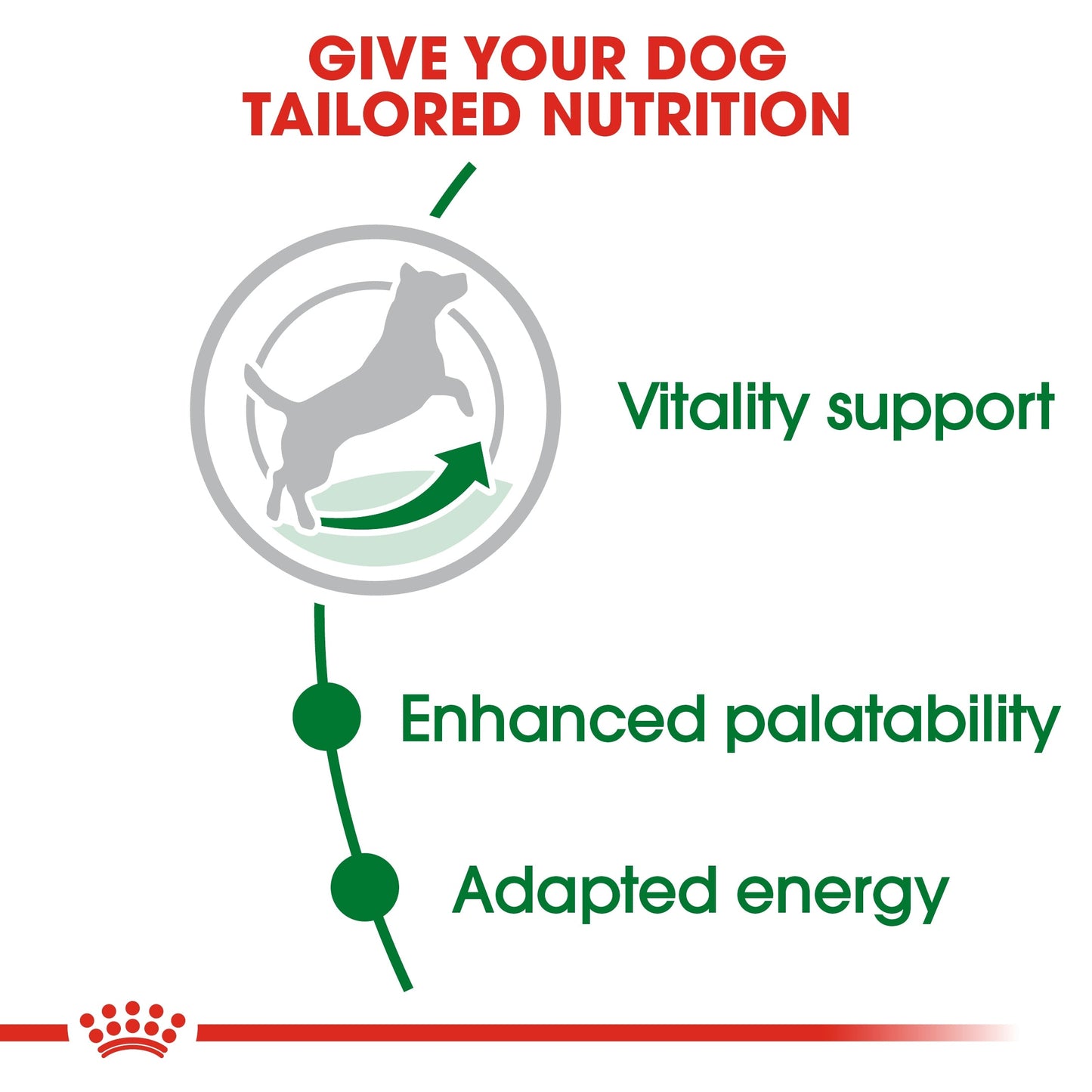 Royal Canin Size Health Nutrition Mini Adult 8+ 2 KG