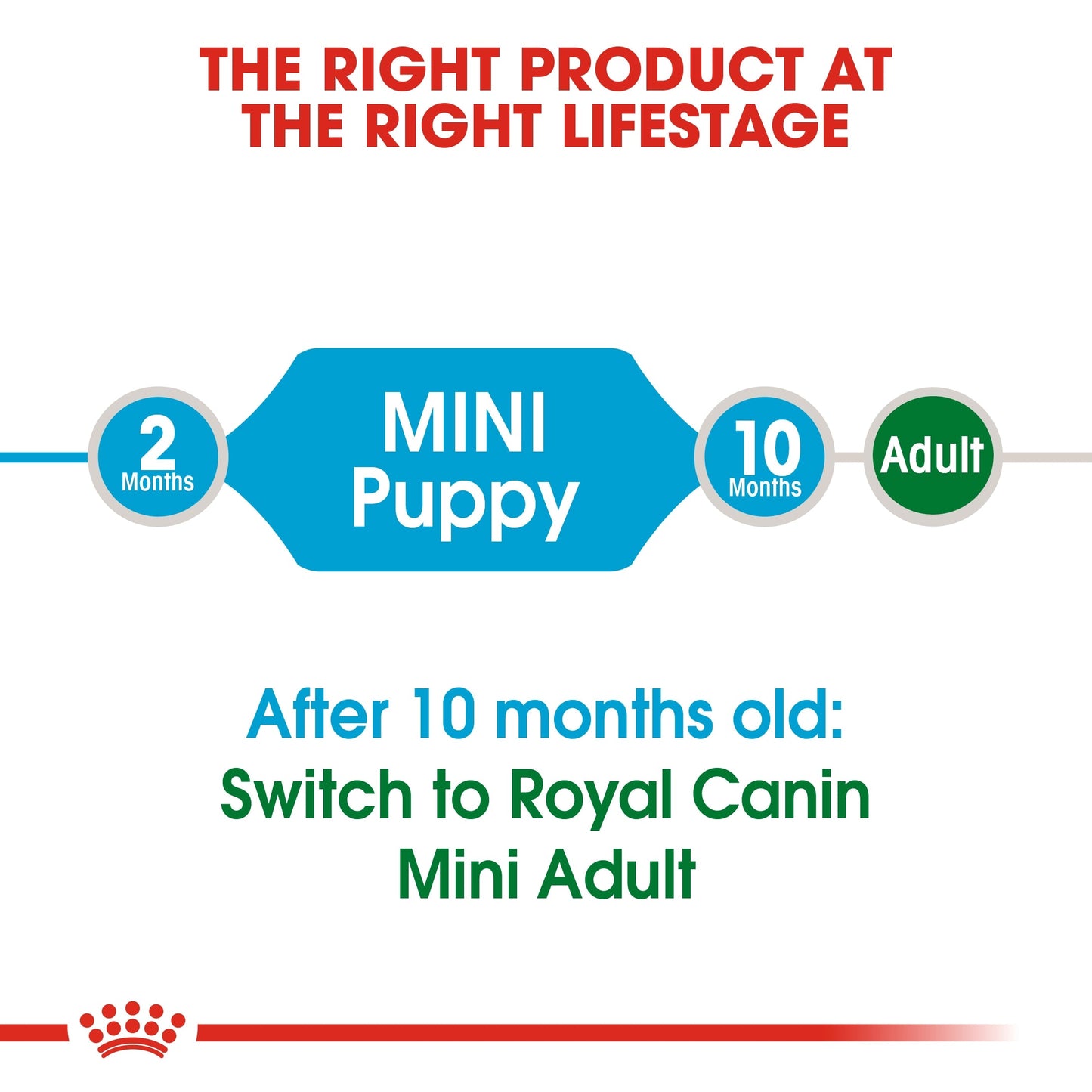 Royal Canin Size Health Nutrition Mini Puppy