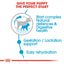 Royal Canin Size Health Nutrition Mini Starter 1 KG