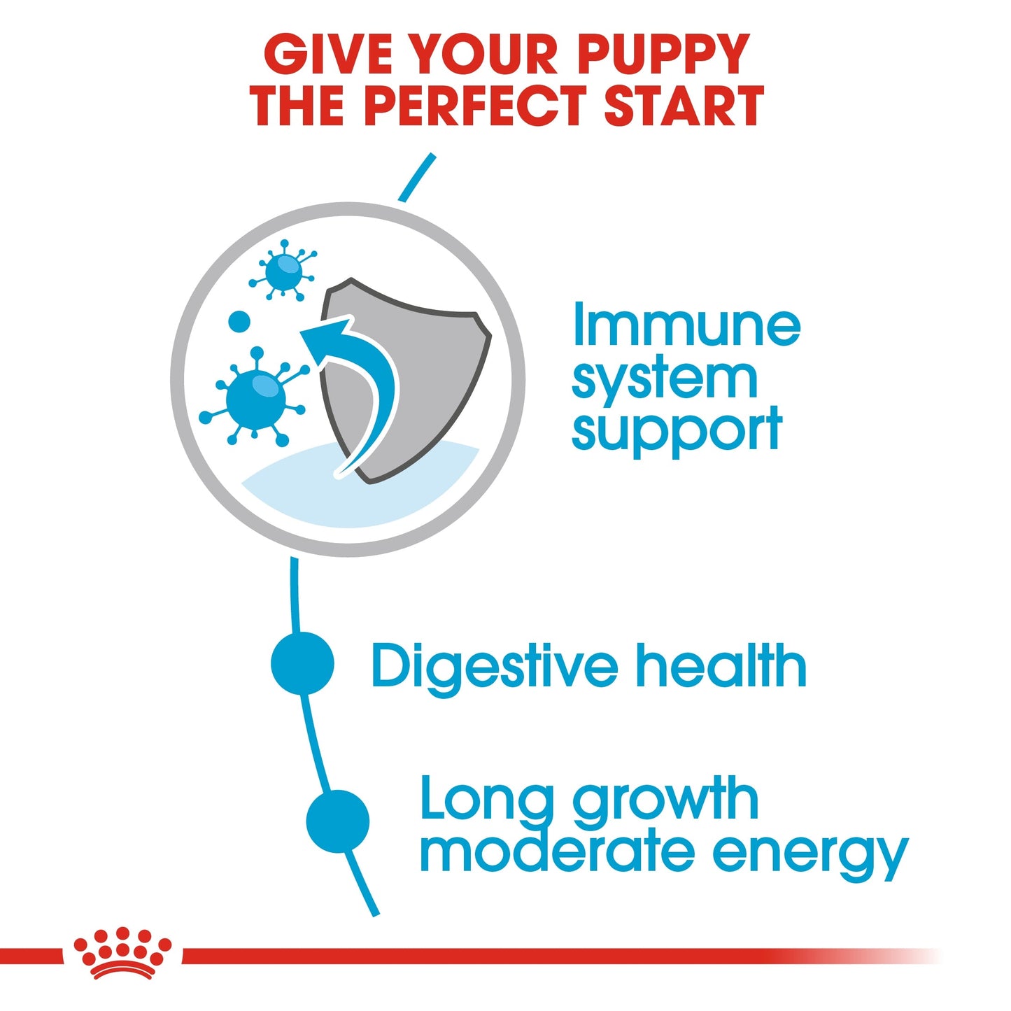 Royal Canin Size Health Nutrition Maxi Puppy (WET FOOD - Pouches)