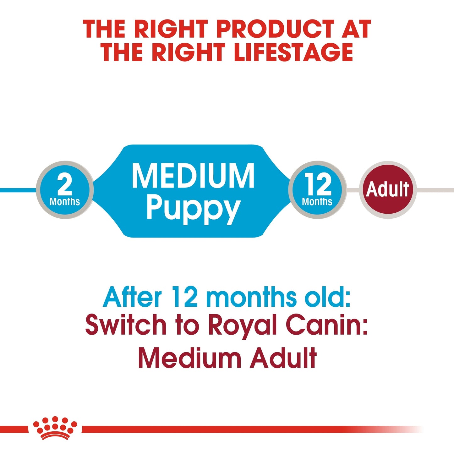 Royal Canin Size Health Nutrition Medium Puppy (WET FOOD - Pouches)
