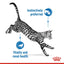 Royal Canin Feline Health Nutrition Indoor Gravy (WET FOOD - Pouches)