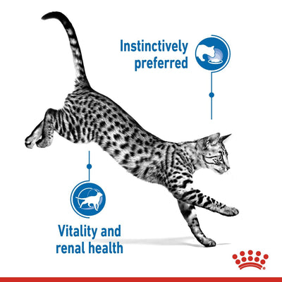 Royal Canin Feline Health Nutrition Indoor Gravy (WET FOOD - Pouches)
