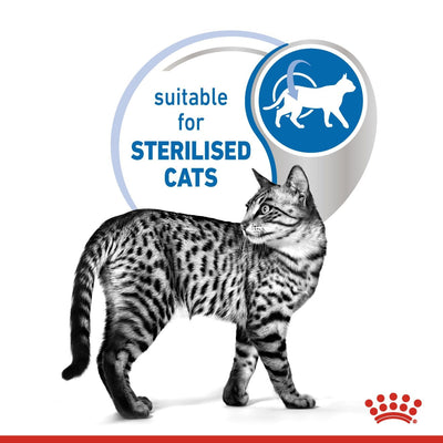 Royal Canin  Feline Health Nutrition Indoor 7 (WET FOOD - Pouches)
