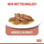 Royal Canin  Feline Health Nutrition Indoor 7 (WET FOOD - Pouches)