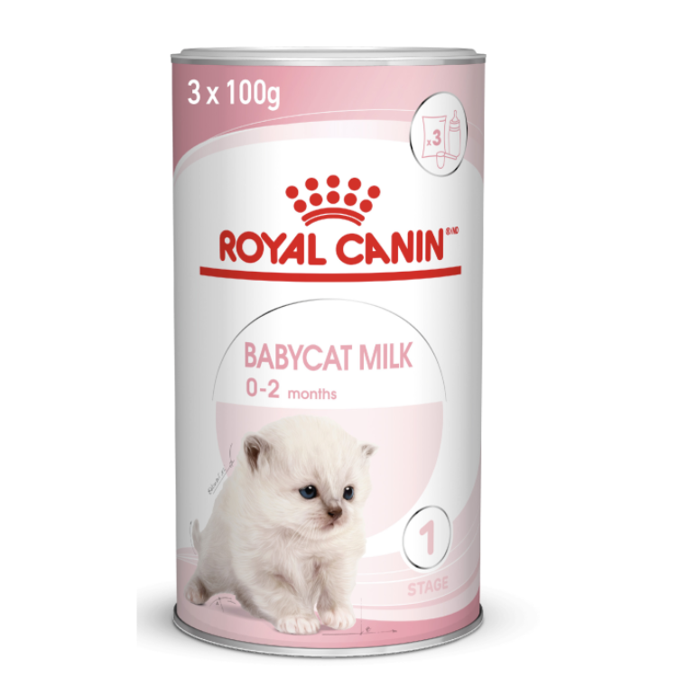 Royal Canin Babycat Milk 300g Buy PetCentral
