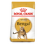 Royal Canin Bengal Adult Cat Food 2 KG Buy PetCentral